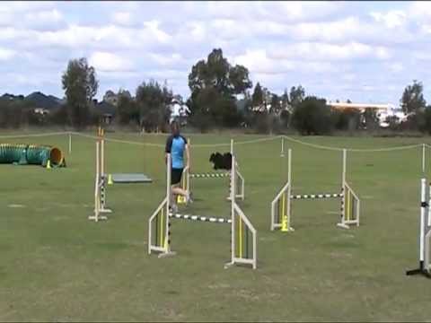 Dogs West Fundraiser 2012 - Charli Masters Jumping