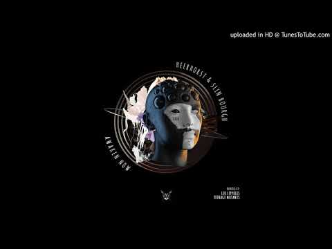 Heerhorst, Slin Bourgh - Awaken Now (Teenage Mutants Remix)