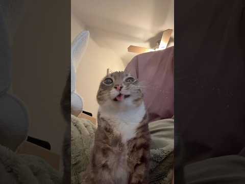 Rigbycat’s Ultimate bathroom break! (hold still)