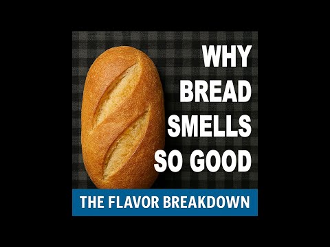 Why Does Bread Smell So Good