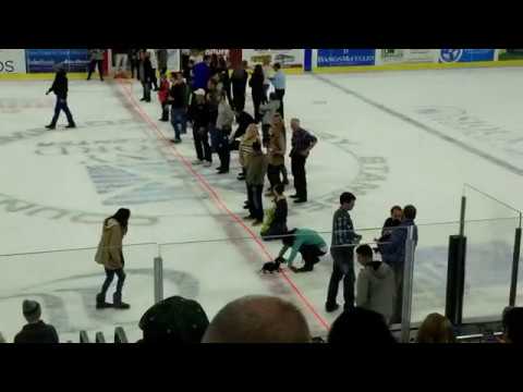 Sioux Falls Stampede Weiner Dog Races 2019