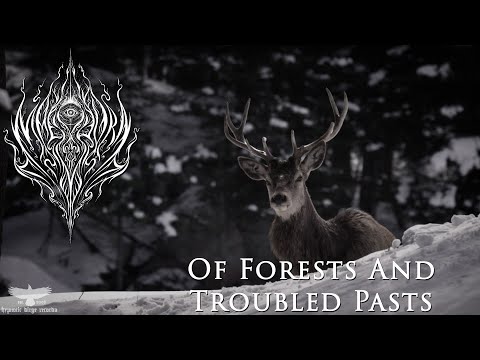 Maeskyyrn - Of Forests and Troubled Pasts [Music Video] (Black Metal)