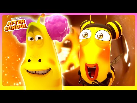Larva Honey HEIST! 🍯 🐝 Larva Family | Netflix Family