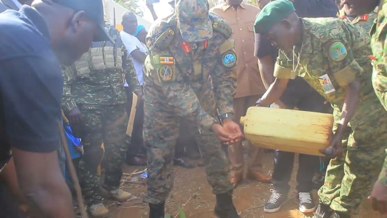 MK Youth Initiative Demonstrates Cashew Nut Farming in Kiryandongo | Empowering Ugandan Youth