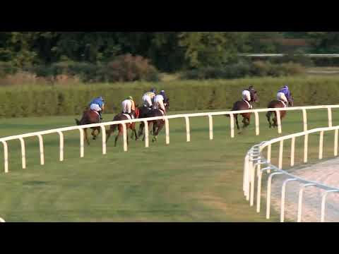 2019.08.04. 08. futam - PATIENCE DÍJ (III.kat.) II. rész