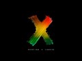 Nicky Jam Feat. J Balvin - X Equis  (Audio)