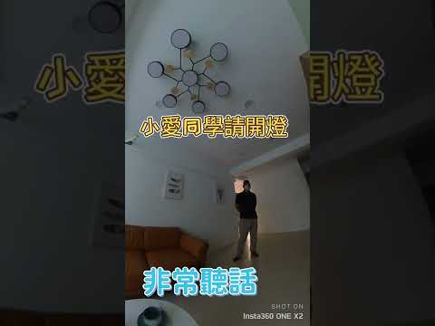 智能開燈/小米/小愛同學