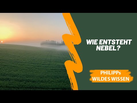 Was ist Nebel, wie entsteht er und warum ist es im Herbst oft so neblig?