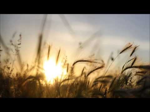 Sunleed - Suspended Animation (Johnny Yono Remix)