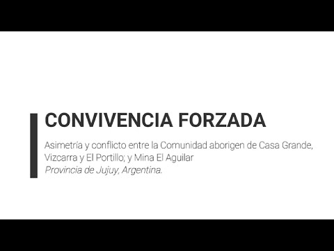Convivencia Forzada: Asimetría y conflicto en El Aguilar. Provincia de Jujuy, Argentina.