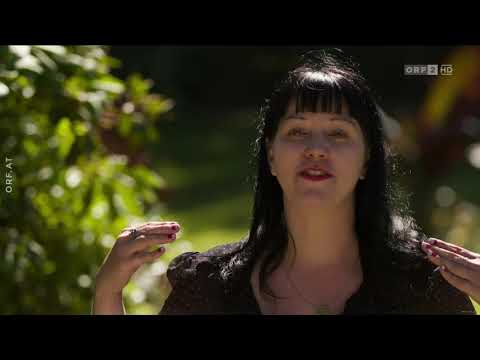 Universum: Tierische Herzensbrecher | ORF Doku