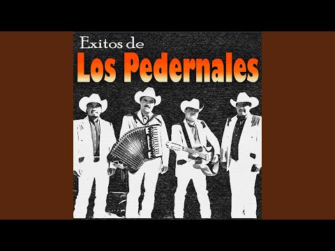 Si Me Quisieras Un Poquito