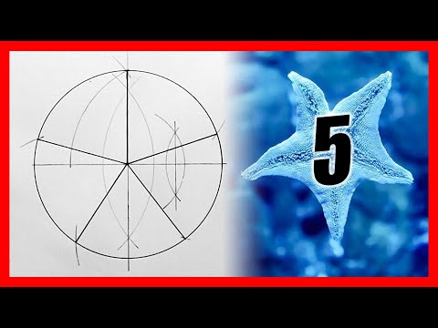 Como dividir un circulo en 5 partes iguales | Parte una circunferencia en cinco trozos
