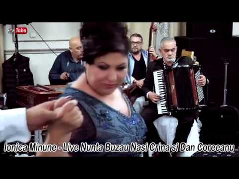 Ionica Minune 2019 - Live Nunta Buzau (Nasi-Crina Si Dan Coreeanu)