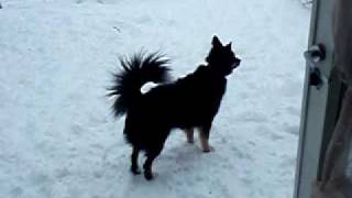 Snow04