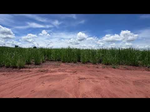Fazenda de Dupla Aptidão em Quirinópolis/GO – 35,5 Alqueires com Renda Garantida