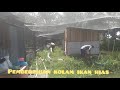 Pusat Jual Ikan Hias Di Lubuk Pakam