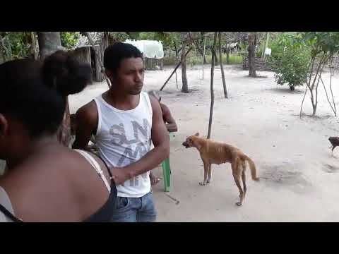 Natal em Pedro do Rosário Maranhão  2021