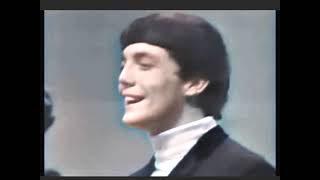 Anyway You Want It - Dave Clark Five