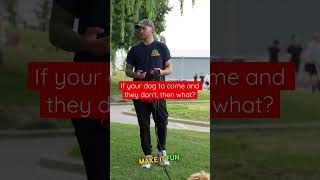 THIS mistake will ruin your dogs recall!