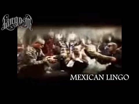 Lingo M - Mexican Lingo (Video Oficial)