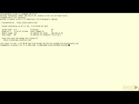 Docker for Web Developers Tutorial Playing 2048 with Docker | packtpub com