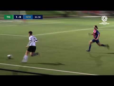 Round 1 - NPL 2 NSW Men's - Northern Tigers v Newcastle Jets