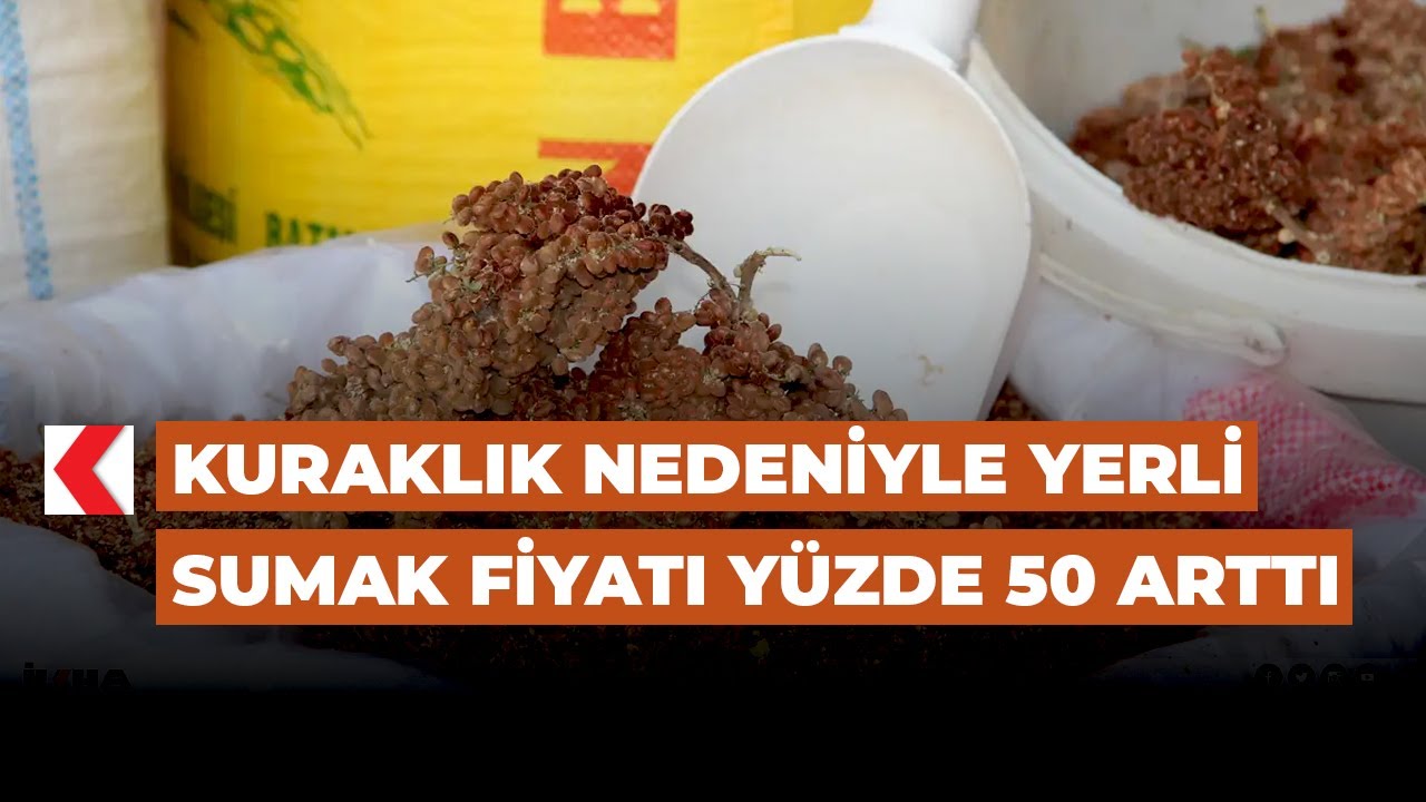Kuraklık nedeniyle yerli sumak fiyatı yüzde 50 arttı