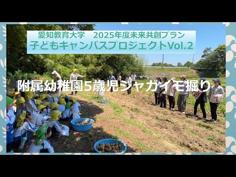 【愛知教育大学】2025年度子どもキャンパスプロジェクト_附属幼稚園5歳児　ジャガイモ掘り