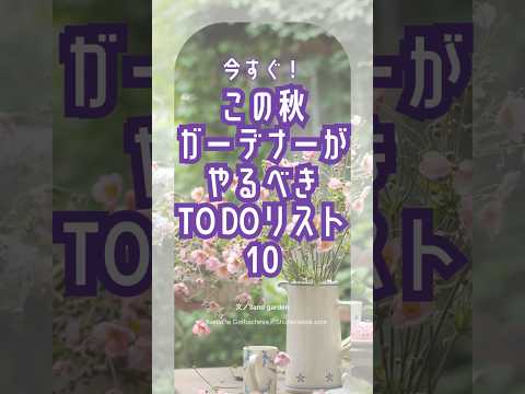 花の種を蒔くのに適した時期はいつですか?ヒックエヌンクは5種スタート！  庭園