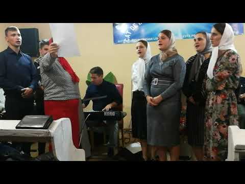 Frații și Surorile din Var!