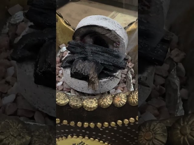 عود الشيوخ تربل سوبر