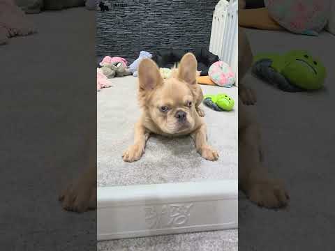 Video 3