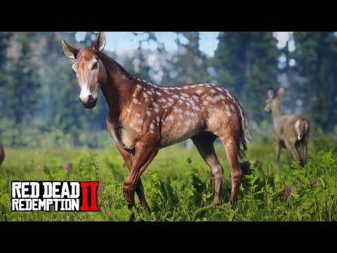 Taming the DEER HORSE - THE FAUN - Red Dead Redemption 2 - ep 30