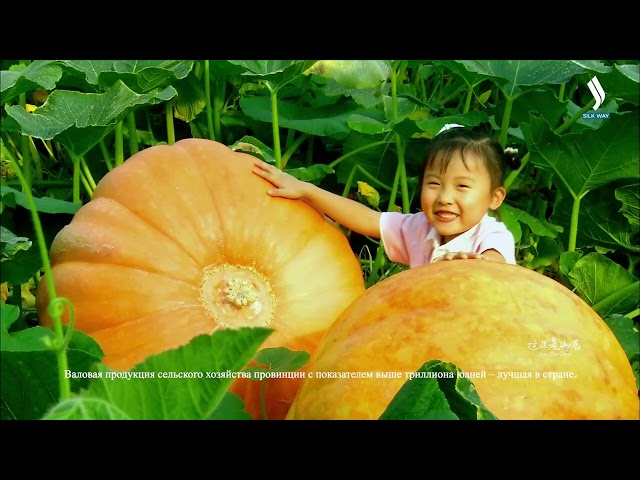 Здесь Шаньдун!