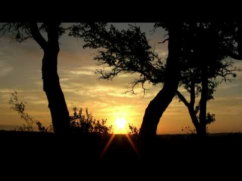 download lagu mp3 mp4 Download Abstract Sunrise Jungle Beats 2010 Mp3, download lagu Download Abstract Sunrise Jungle Beats 2010 Mp3 gratis, unduh video klip Download Abstract Sunrise Jungle Beats 2010 Mp3