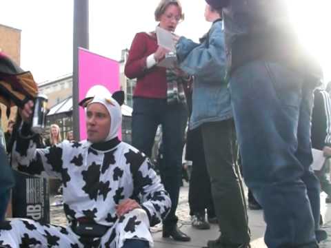 Robban Andersson vs Gudrun Schyman