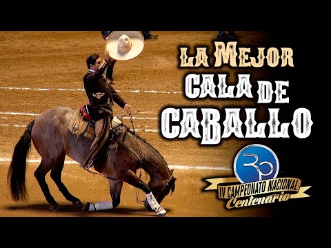 THANK YOU!! Alejandro Goñi Rojo - The Best Cala de Caballo - 4th Centennial Championship 2020