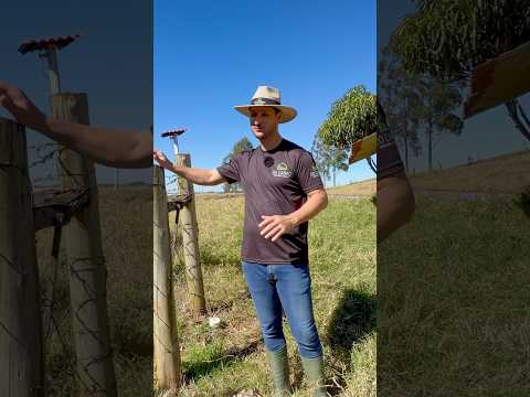 Sítio a venda Casa frutas água lavoura #docampoimobiliária