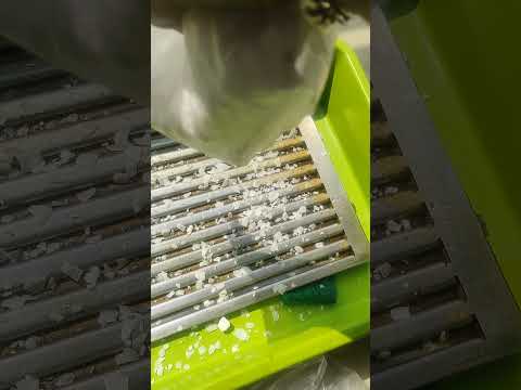 Caustic Soda Flakes