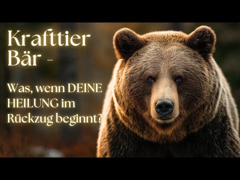 Krafttier Bär – Meditation