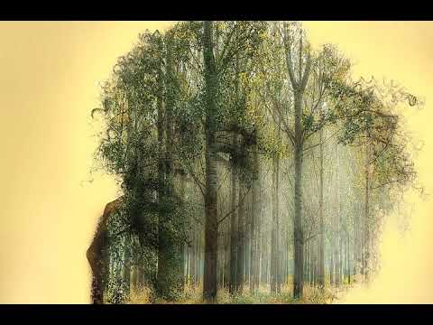 Sasson (FR) feat. Pauline Konrad - Woodh // Original Mix