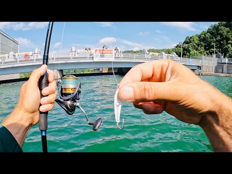 4 Hours of RAW and UNCUT Fishing with Spoons and Gulp Minnows at a Dam