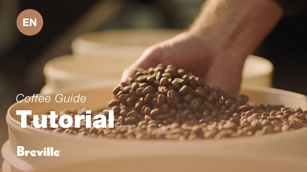 Breville coffee guide tutorial - Choosing the right beans