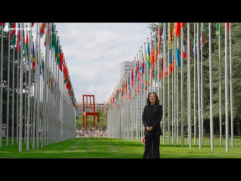 United Nations Immersion Programme | Best Diplomats | UNITAR | November 2025