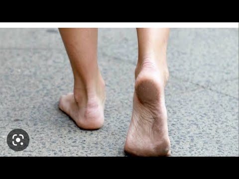 FASSARAR MAFARKIN TAFIYA KASA BA TAKALMI