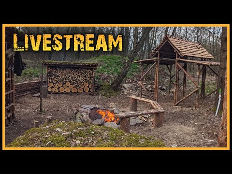 Naturensöhne Livestream #7 - Waffengesetz, Waldbrand und Zecken