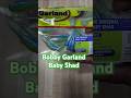 BEST WAY TO RIG A Bobby Garland Baby Shad For CRAPPIE Fishing Crappie Crappiefishing Shorts