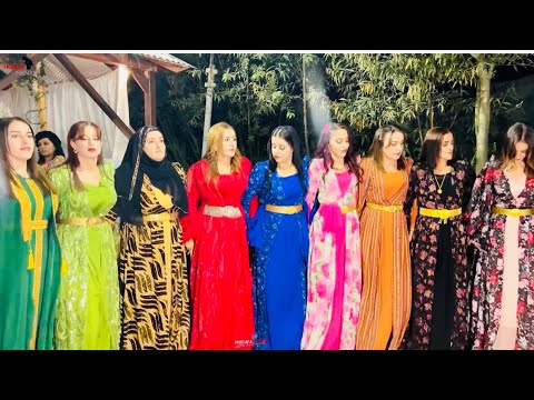 Hozan Menice - Şevko Halayı Yüksekova [ HD ©️ 2024 ]