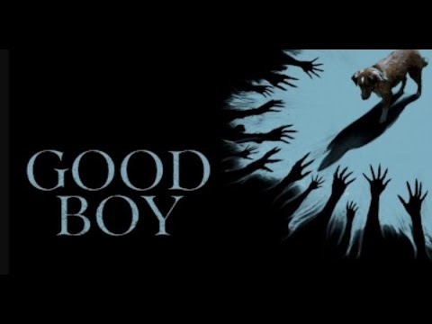 ¡CONOCE A INDY! El perro protagonista de GOOD BOY | Una película de terror sobrenatural desde la ...